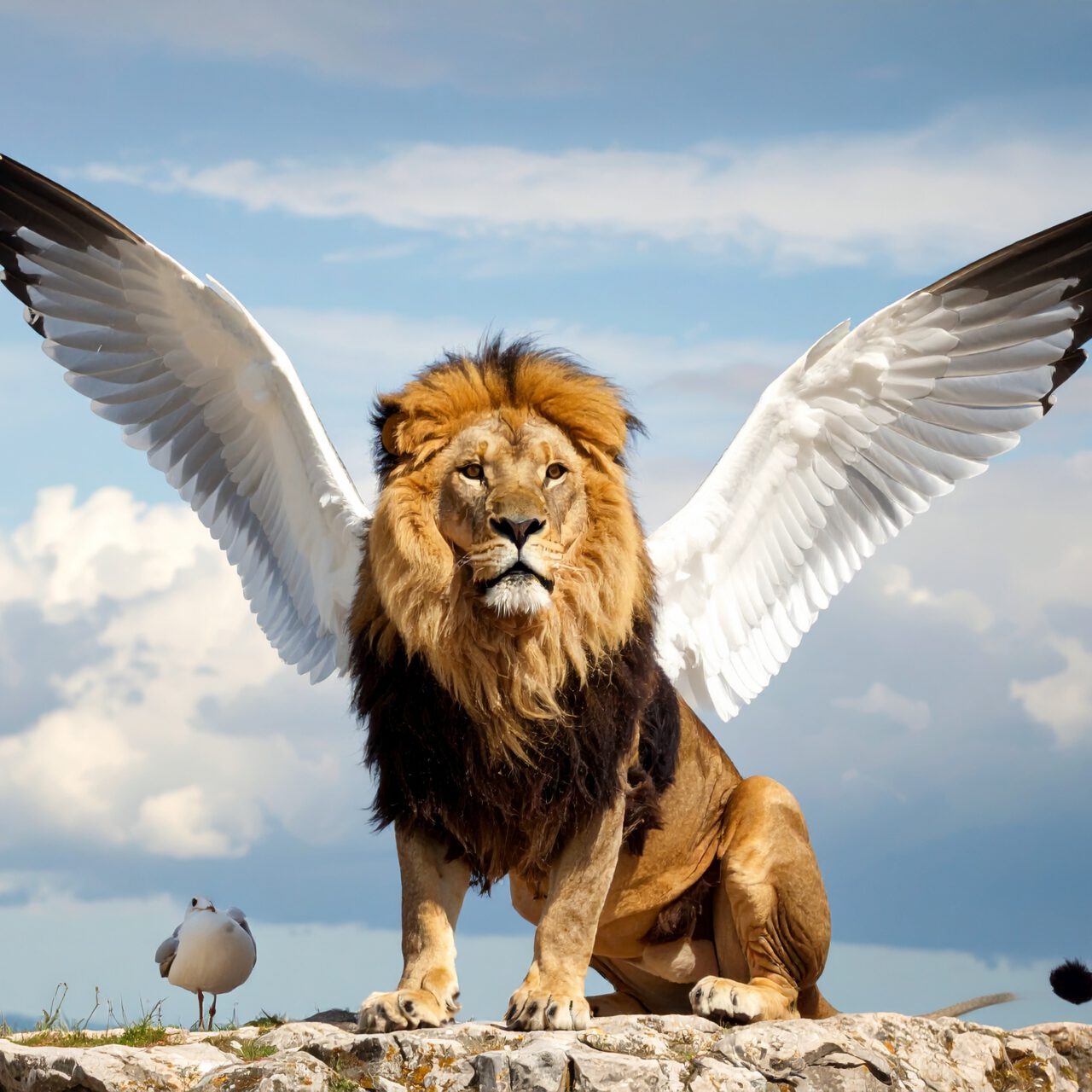 Vortragsreihe: Hörgesundheit im SEP & OKT