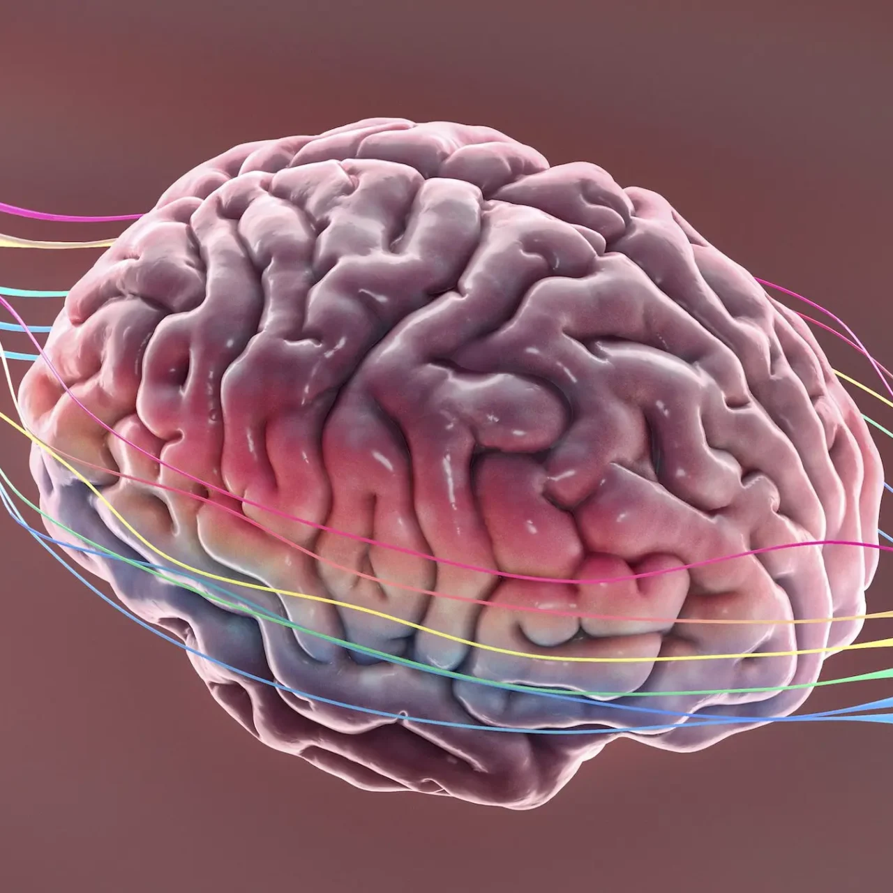 Können Hörgeräte und Hörtraining den Geist schützen?