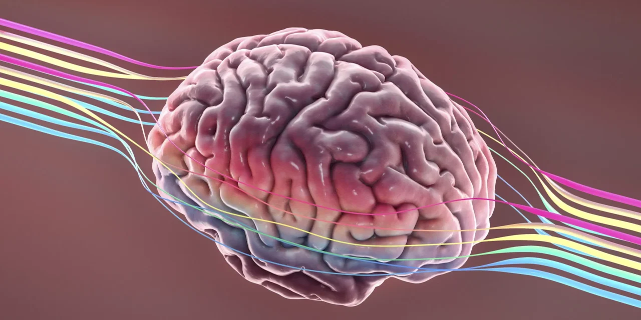 Können Hörgeräte und Hörtraining den Geist schützen?