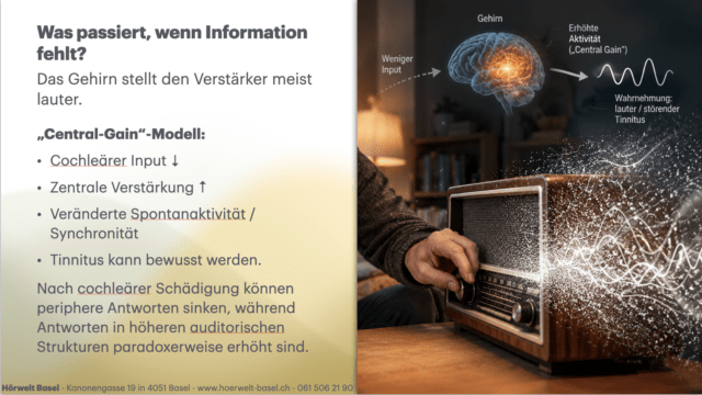 Beim Tinnitus-Vortrag werden komplexe Themen anschaulich erläutert.